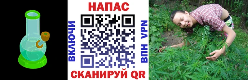 Марихуана Ganja  как найти закладки  Жуков 